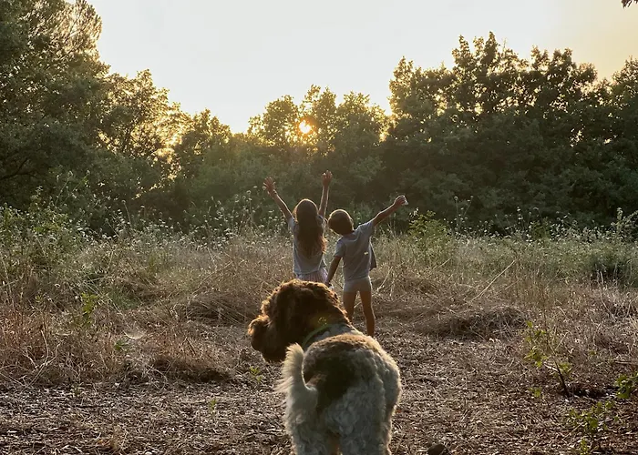 4 Ruderi Lejlighed Roccastrada